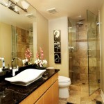 Bathroom - Lone Tree Basement | Cambridge Colorado