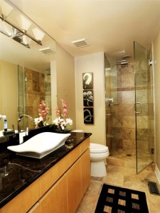 Bathroom - Lone Tree Basement | Cambridge Colorado