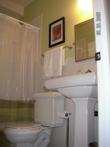 Bath - Park Hill Basement Remodel | Cambridge Colorado